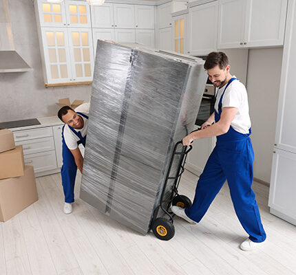 Service: Delivery with Aseembly